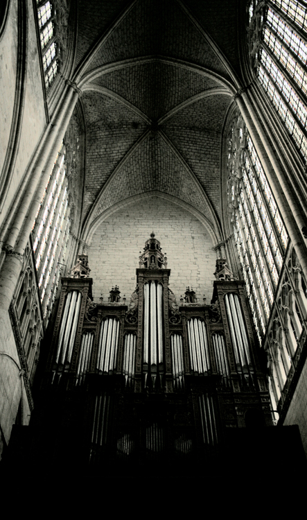 cathedrale du mans.jpg